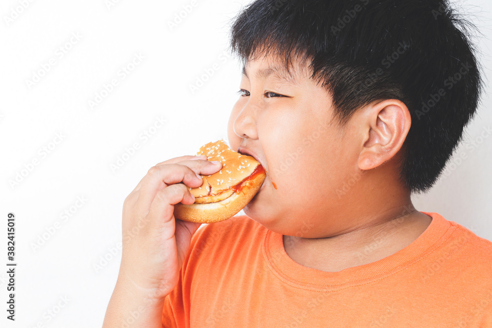 Asian fat boy eats hamburgers. Food concepts that cause children's physical health problems Causing easy diseases such as obesity. White background. isolated. copy space Asian fat boy eats hamburgers. Food concepts that cause children's physical health problems Causing easy diseases such as obesity. White background. isolated. copy space