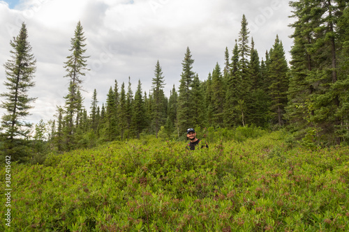 View of a young man standing in the middle of bushes in Aiguebelle national park, Canada