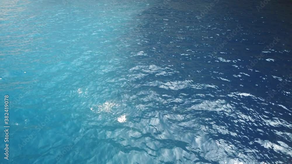 Fish feeding. Small fishes eating bread in crystal clear sea water. Turkey. Fish feeding. Small fishes eating bread in crystal clear sea water. Turkey.