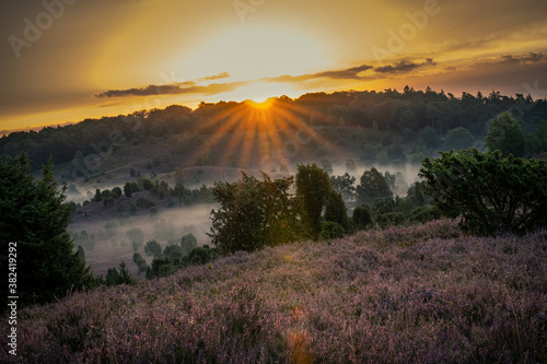 Lüneburger Heide
