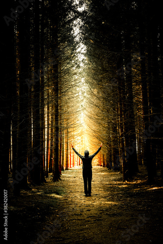 Silhouette einer Person auf einem Waldweg im Gegenlicht