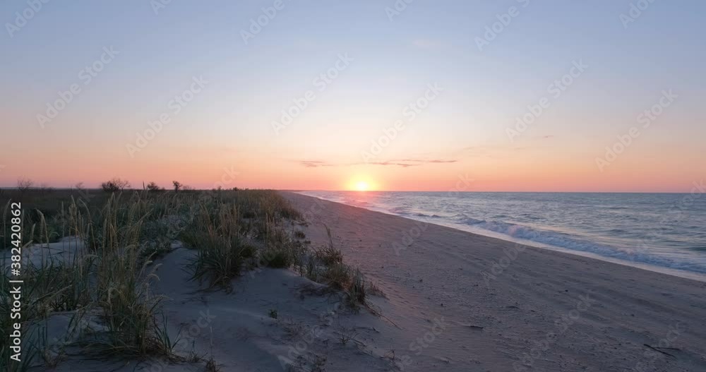 Landscape with beautiful sunrise on the beach with steppe plants Landscape with beautiful sunrise on the beach with steppe plants