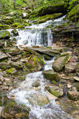 waterfall in the forest