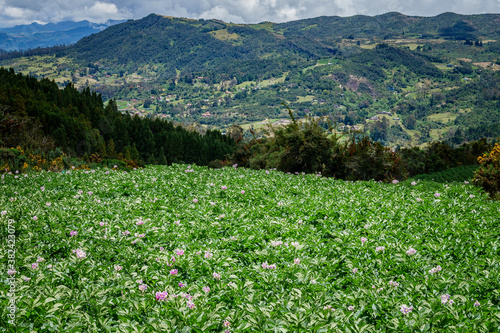 Paisajes de los cerros orientales de Bogotá via la Calera y Choachí, cultivos de papa y paisajes del campo photo