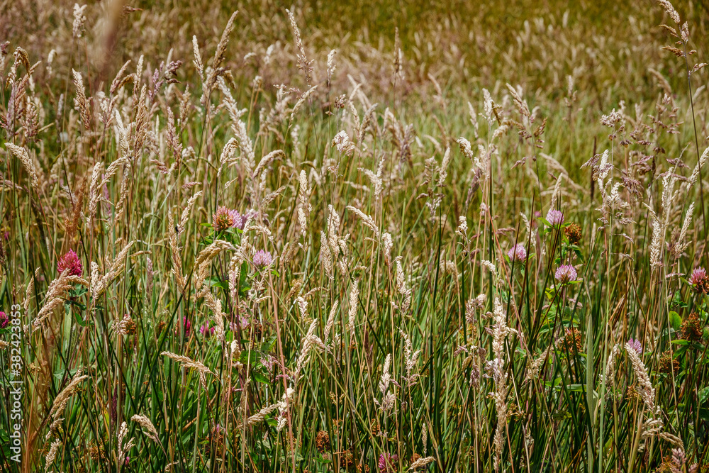 Paisajes de los cerros orientales de Bogotá via la Calera y Choachí