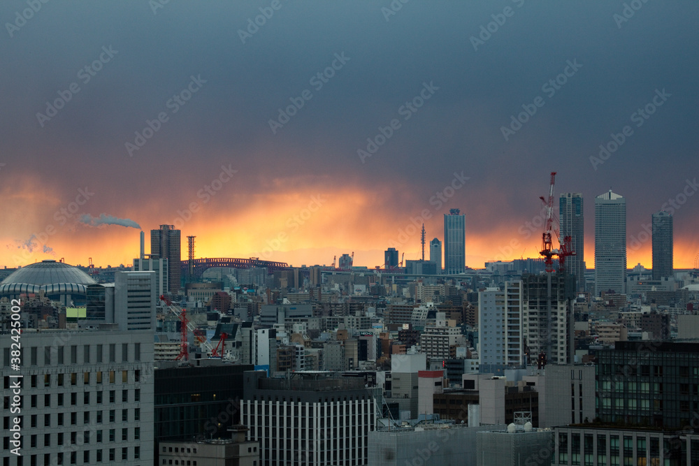 Fototapeta premium 冬の空