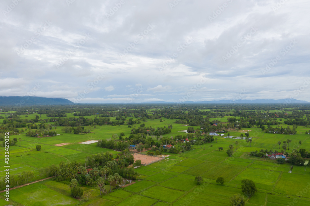Obraz premium beautiful but unfocussed green grass after rain with dark cloudy sky green ricefield isolated in the island pangandaran . Scenic view of green ricefields in the Cambodia