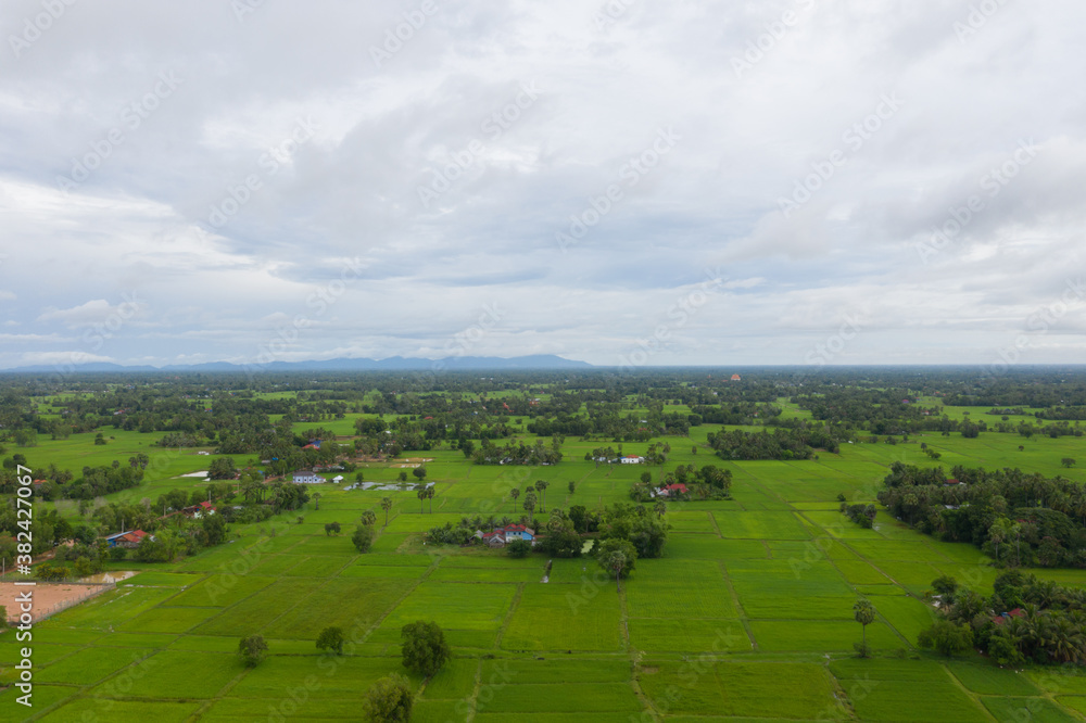 beautiful but unfocussed green grass after rain with dark cloudy sky green ricefield isolated in the island pangandaran . Scenic view of green ricefields in the Cambodia beautiful but unfocussed green grass after rain with dark cloudy sky green ricefield isolated in the island pangandaran . Scenic view of green ricefields in the Cambodia