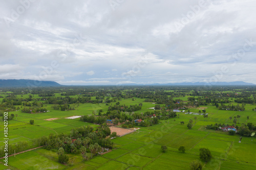 beautiful but unfocussed green grass after rain with dark cloudy sky green ricefield isolated in the island pangandaran . Scenic view of green ricefields in the Cambodia