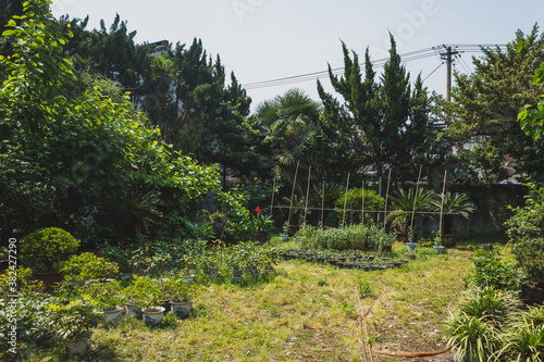 Green garden in Lu Xun Guli scenic area, Shaoxing, China photo