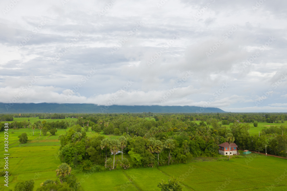 beautiful but unfocussed green grass after rain with dark cloudy sky green ricefield isolated in the island pangandaran . Scenic view of green ricefields in the Cambodia