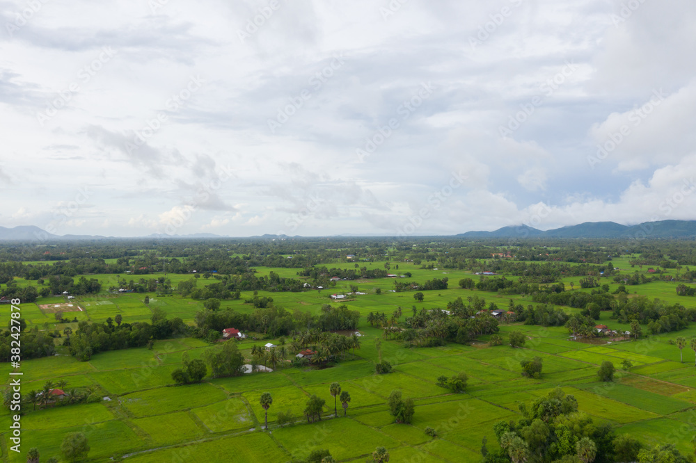 beautiful but unfocussed green grass after rain with dark cloudy sky green ricefield isolated in the island pangandaran . Scenic view of green ricefields in the Cambodia beautiful but unfocussed green grass after rain with dark cloudy sky green ricefield isolated in the island pangandaran . Scenic view of green ricefields in the Cambodia