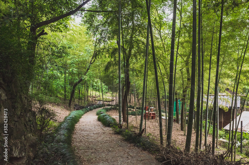 Path by bamboo forest in Lanting  Orchid Pavilion  scenic area in Shaoxing  China