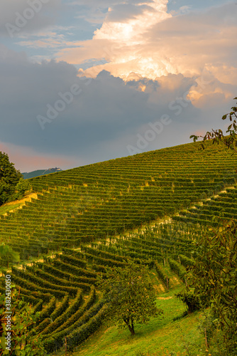 Le colline delle Langhe, patrimonio dell’Umanità dell’Unesco nella stagione della vendemmia