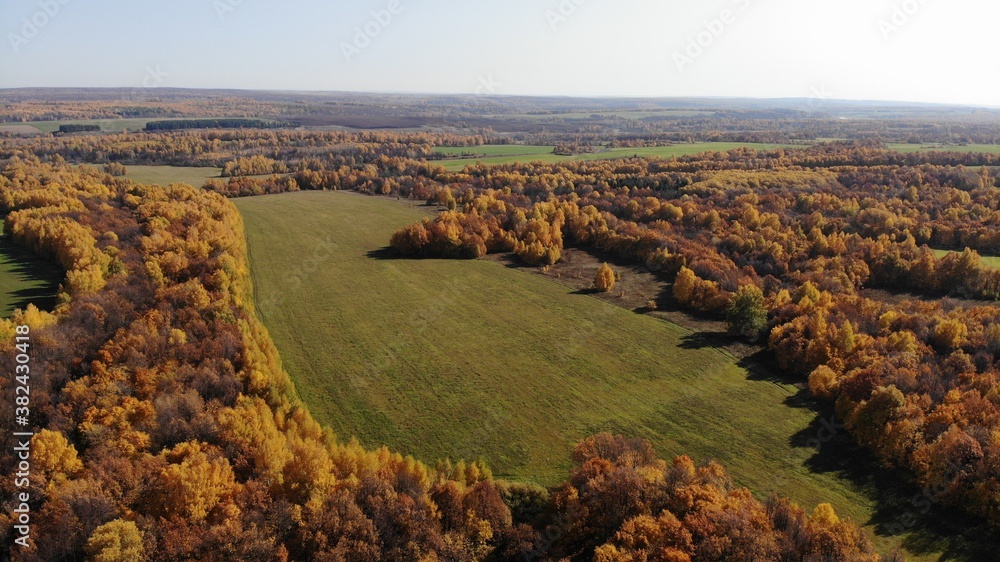 Drone view point of rural area in Autumn. Russia, panoramic image, golden trees, cloudy weather