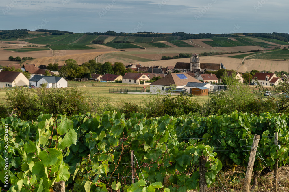 Coulange la vineuse, village viticole