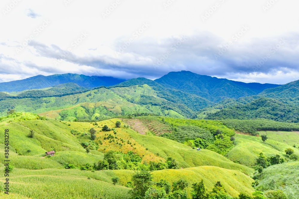 View of Doi Phu Kha National Park in Nan, Thailand View of Doi Phu Kha National Park in Nan, Thailand