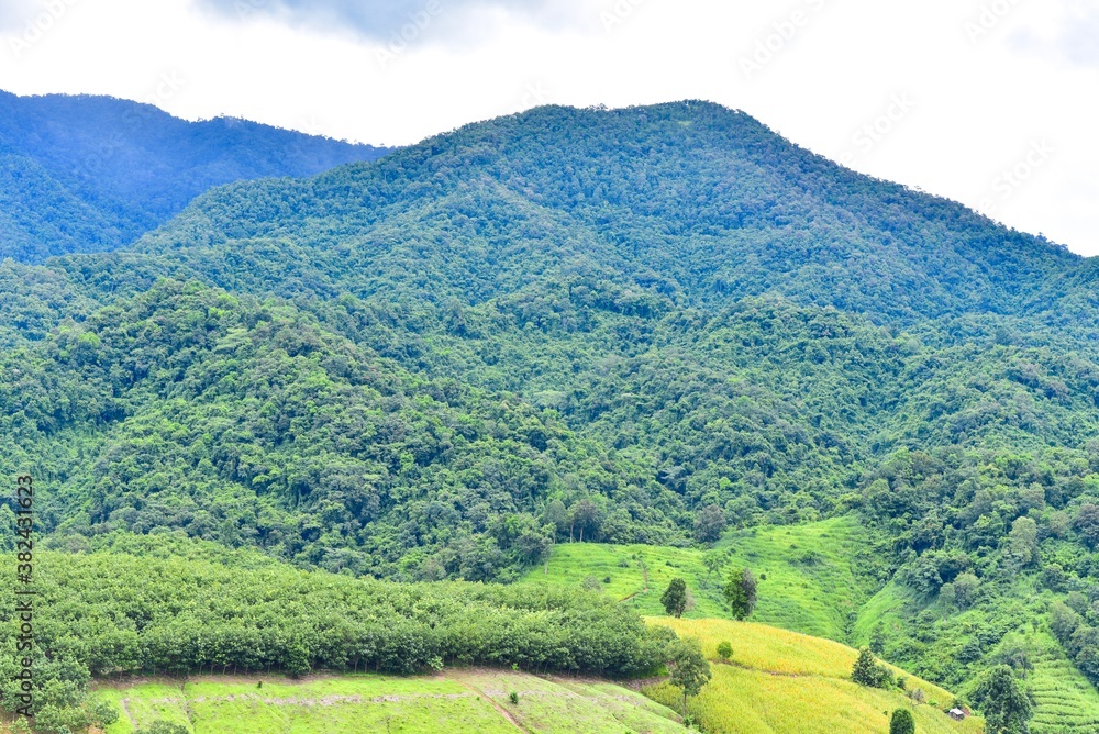 Lush Green Mountain Range of Doi Phu Kha National Park in Nan, Thailand
