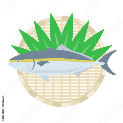 ザルにのせた鰤のイラスト