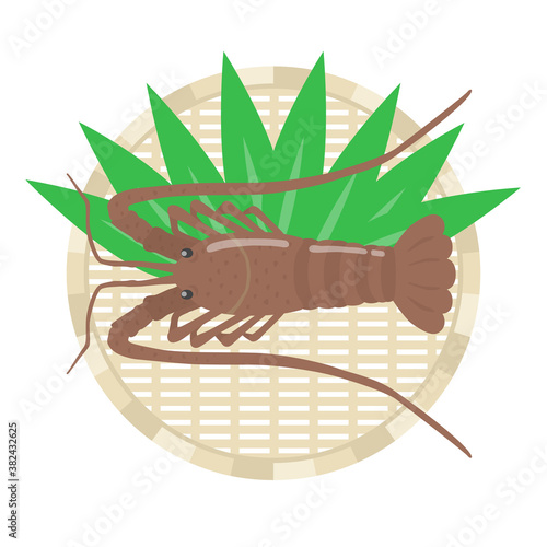 ザルにのせた伊勢海老のイラスト
