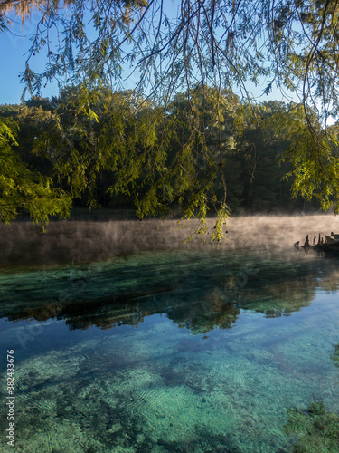 Early Morning at Ginnie Springs on the Santa Fe River  Florida
