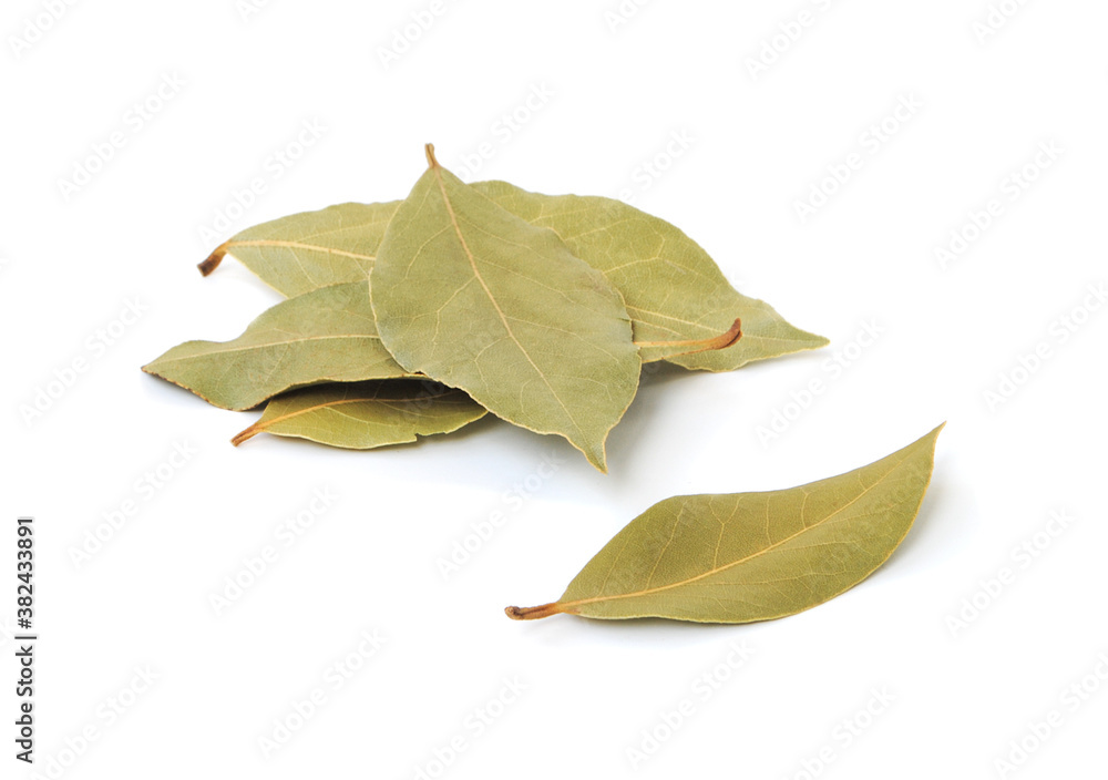 Bay leaves isolated on white background side view