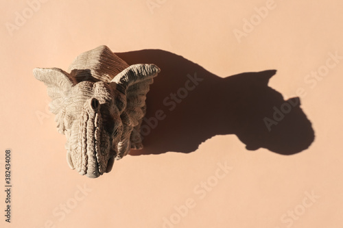 elephant statuette with a hard shadow on a plain background. the view from the top. blank for the pattern © Роман Заворотный