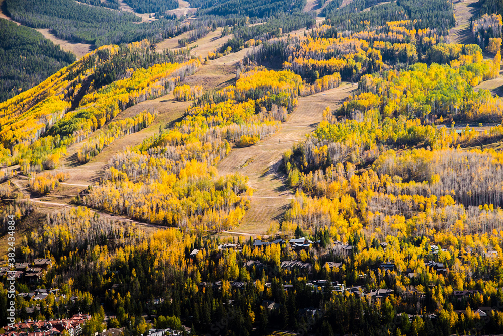 Obraz premium Vail Mountain during autumn. 