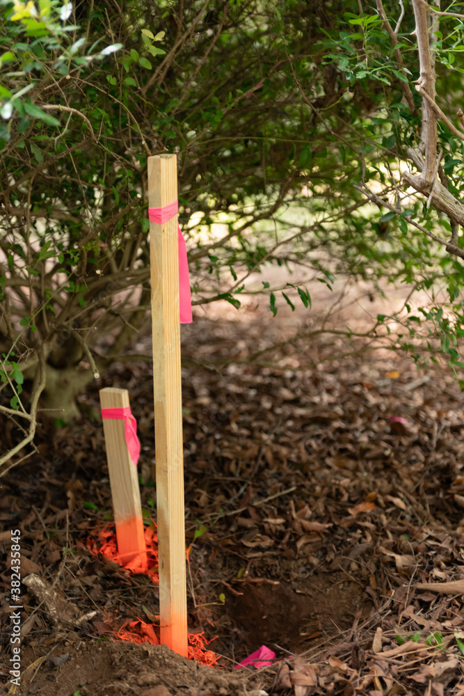 Survey stakes with orange pink ribbons indicating property lines