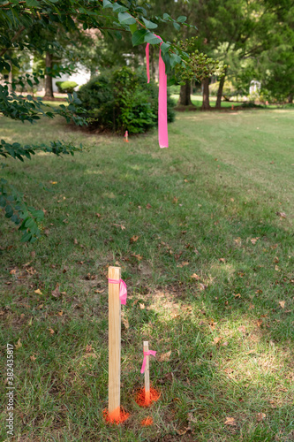 Fotografie Survey stakes with orange pink ribbons indicating property lines with a shallow