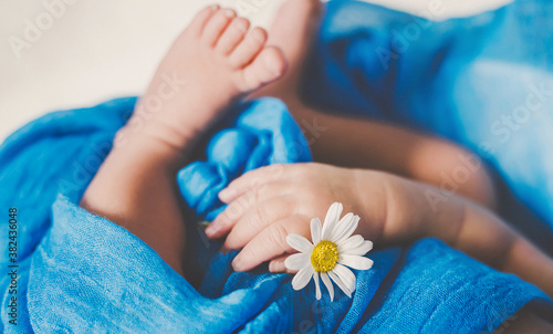 Newborn baby is holding a chamomile flower. Selective focus.