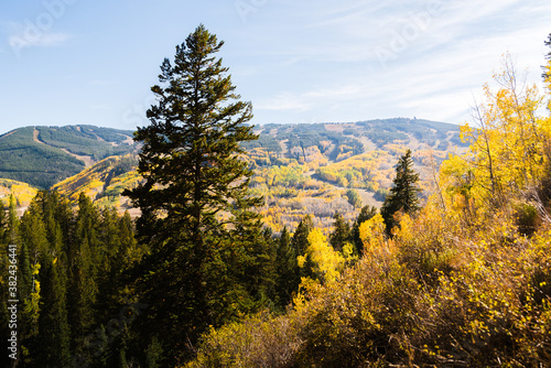 Views of Vail Mountain during autumn. 