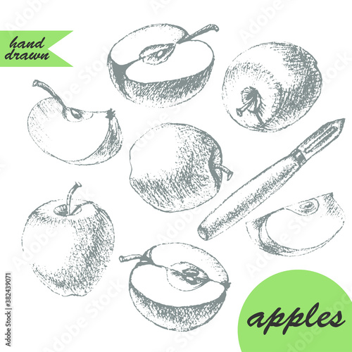 Hand drawn apple, half, slice and peeler sketch