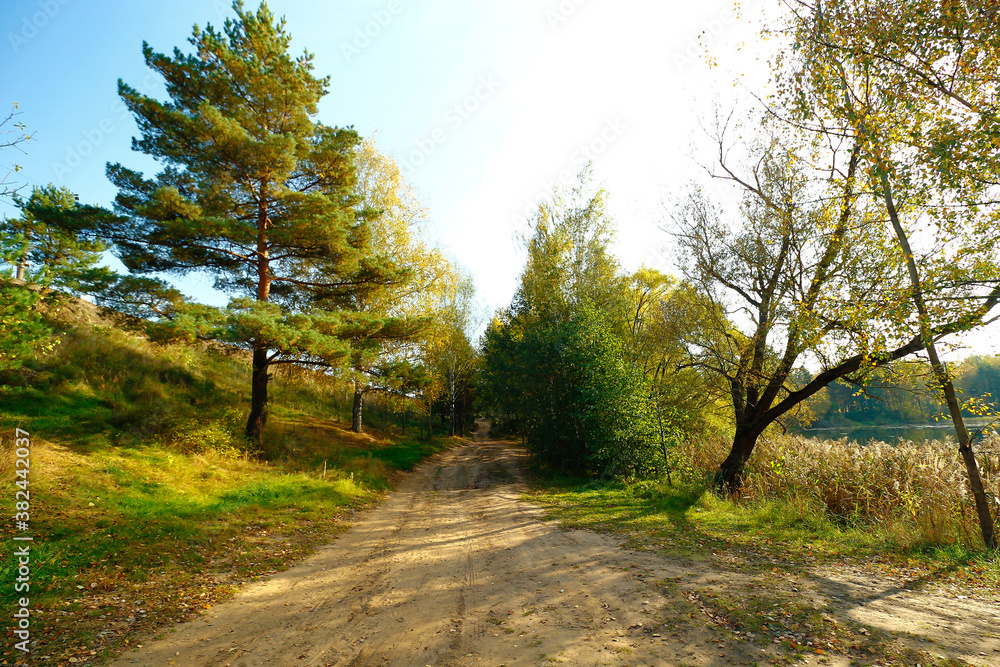 Dirt road in the forest on an autumn day
