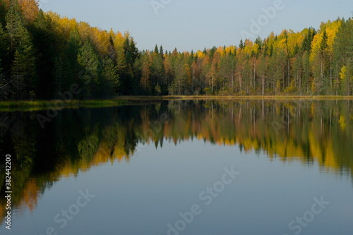 reflection of the Golden autumn in the lake
