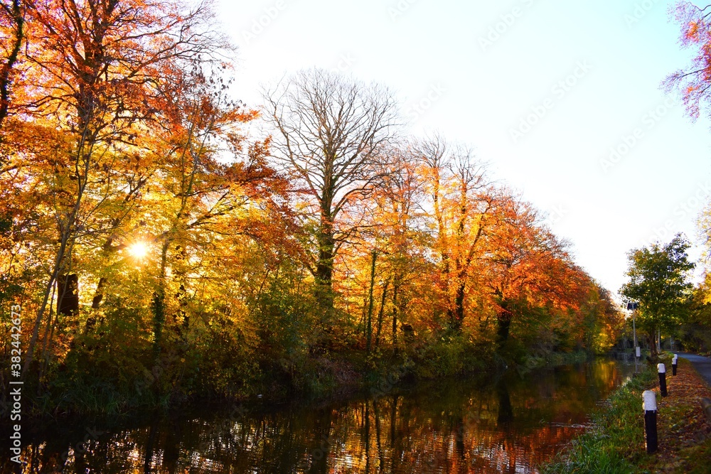 Beautiful Autumn Colors at Irish Canal