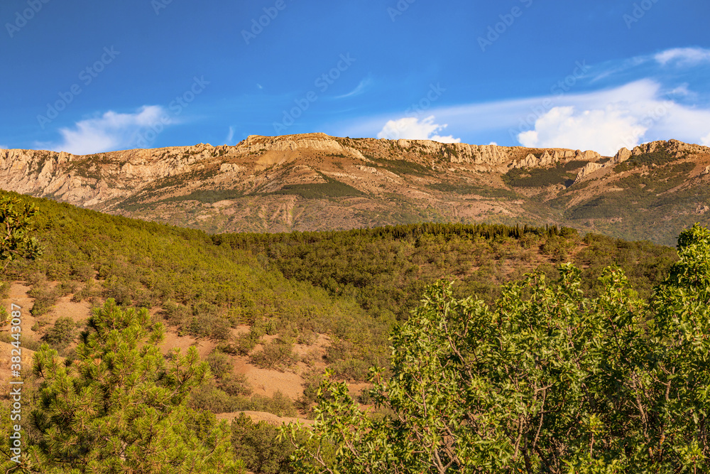 Landscape of the Crimean mountains, on a bright Sunny day, covered with small shrubs and trees, plateau, plain surrounded by mountains