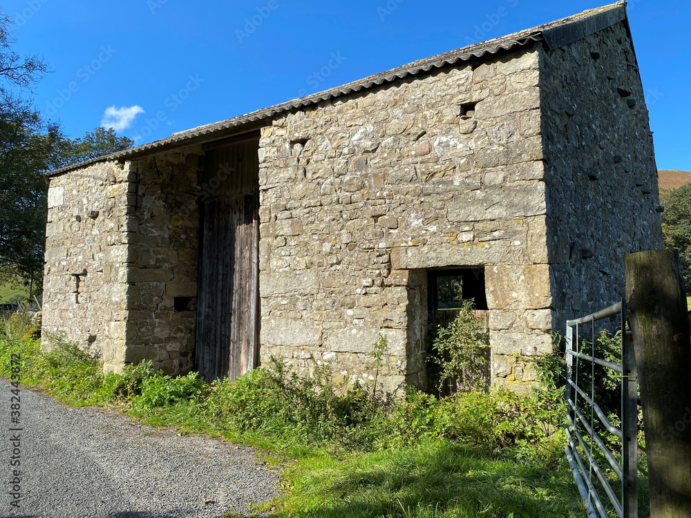 An old stone barn, deep in the heart of Littondale, near Halton Gill, with wild plants, and a blue sky An old stone barn, deep in the heart of Littondale, near Halton Gill, with wild plants, and a blue sky