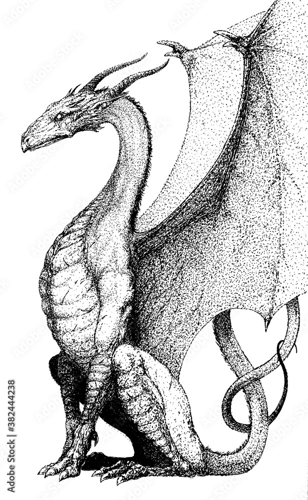 Obraz premium dragon sitting with folded wings looking forward