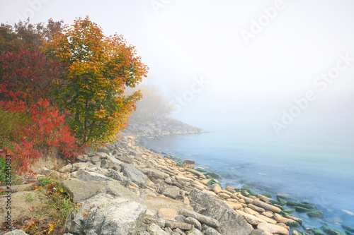 A foggy autumn landscape along the shore of Lake Ontario, at Ashbridges Bay Park in Toronto, Canada. photo