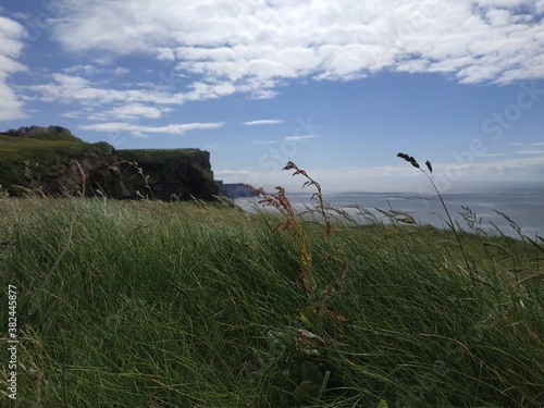 Vue d'une belle herbe verte et sauvage au premier plan, arrière plan sur les falaises de Moher dans un ciel bleu et quelques nuages lumineux, Irlande