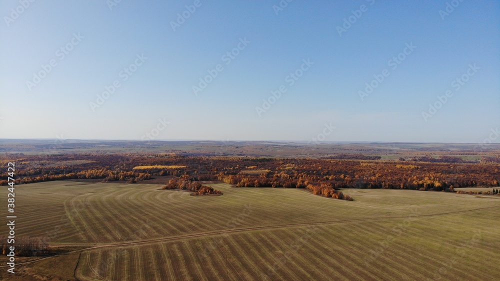 Obraz premium Top view of the field in autumn. Autumn landscape. Photo from a quadcopter on the forest