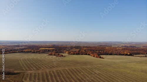 Top view of the field in autumn. Autumn landscape. Photo from a quadcopter on the forest