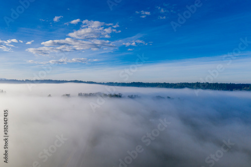 Obraz na płótnie Tree tops stick through the thick fog on a blue sky sunny day w salonie