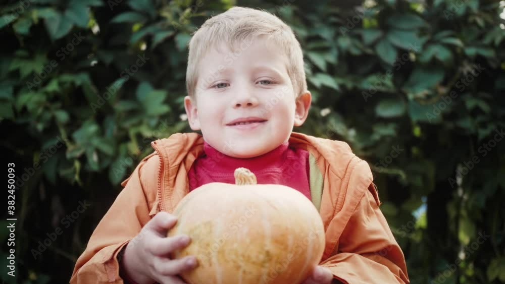 Boy holding pumpkin. Portrait of kid. Preparing Halloween. Boy holding pumpkin. Portrait of kid. Preparing Halloween.