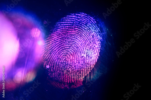 Close up beautiful abstract violet, red colored fingerprint on  background texture for design. Macro photography view. photo