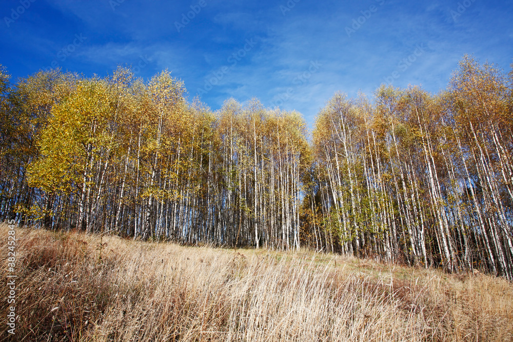 Colorful mountain landscape. Autumn in the mountains. Colorful mountain landscape. Autumn in the mountains.
