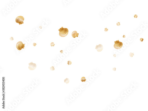 Gold chic seashells vector illustration, marine mollusks shells