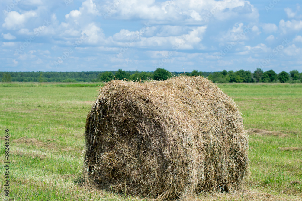 Rural landscape, haystack lying in the middle of a field. Harvest time. The weather is nice and the sun is shining. Rural landscape, haystack lying in the middle of a field. Harvest time. The weather is nice and the sun is shining.