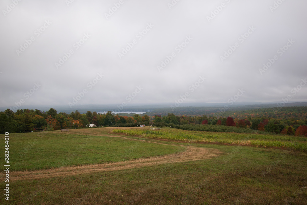 Obraz premium Path leading to apple orchard, foliage, lake, and overcast morning - Acton, Maine